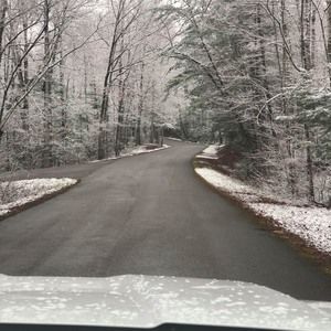 Meet your Posher, Bobbie